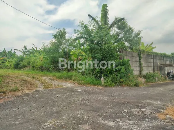 image TANAH KEROBOKAN/ TANAH SEMINYAK BALI (1)