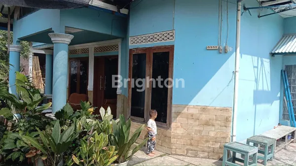 image RUMAH DI CIAMPEA, BOGOR (2)