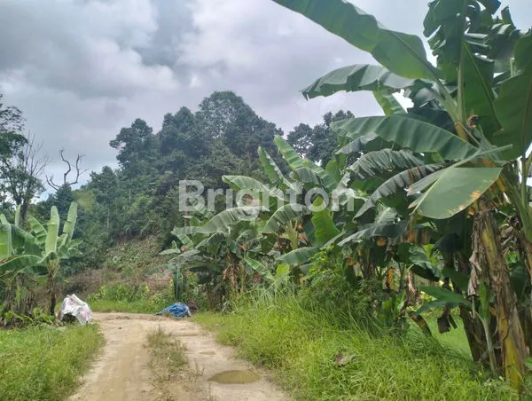 image LAHAN TANAH POSISI HOEK DAERAH PALARAN KOTA SAMARINDA (1)