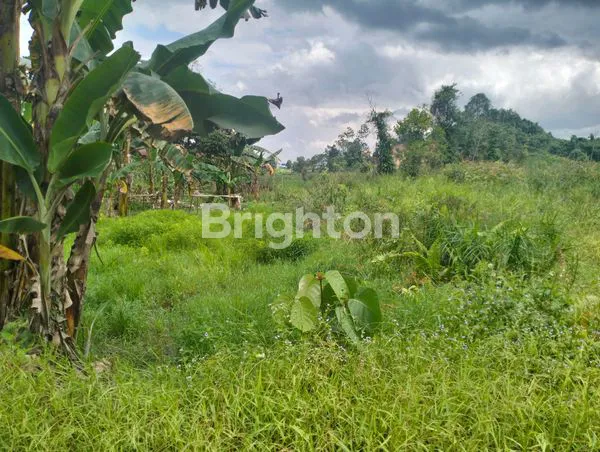 image LAHAN TANAH POSISI HOEK DAERAH PALARAN KOTA SAMARINDA (2)