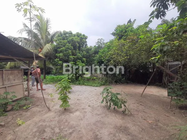 image DIJUAL TANAH MURAH LOKASI TENGAH KOTA HANGTUAH (1)