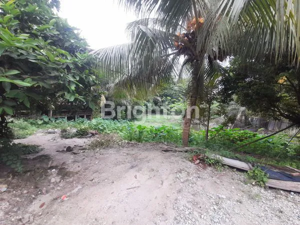image DIJUAL TANAH MURAH LOKASI TENGAH KOTA HANGTUAH (4)