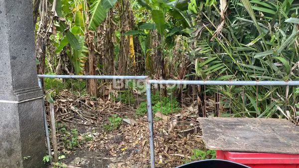 image TANAH ZONA KUNING AREA PEGENDING BADUNG BALI (2)