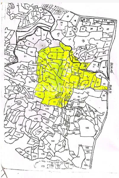 image TANAH LUAS, ZONA INDUSTRI, NOL JALAN RAYA, LAMONGAN (5)