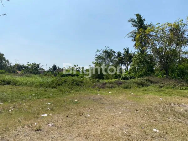 image LAHAN MATANG STRATEGIS DI RENGASDENGKLOK  (2)