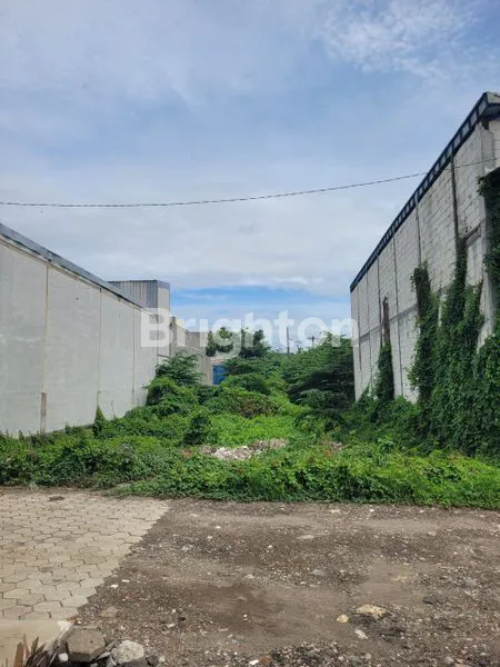 image TROPODO JAYA (1)