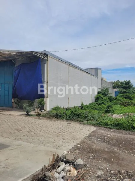 image TROPODO JAYA (2)