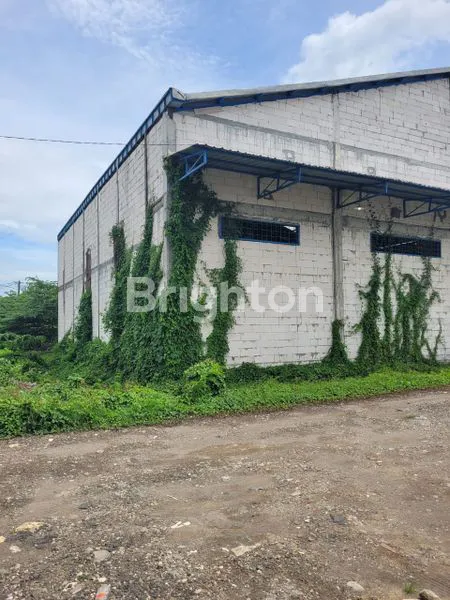 image TROPODO JAYA (5)