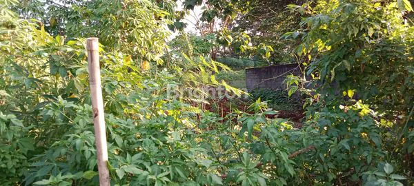 image \U203C\UFE0FTANAH  KOSONG  LETTER  L  SIAP  DI BANGUN\U203C\UFE0FCOCOK UNTUK  CAFFE N EATERY  STRATEGIS  PINGGIR  JALAN  RAYA  DEKAT  UNDIP  SEMARANG  SELATAN  (2)