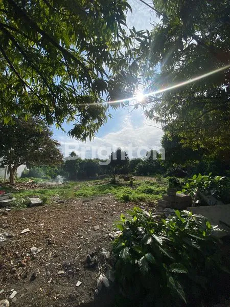 image TANAH AREA RENON 1.7M PER ARE (4)