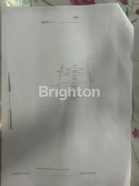 image TANAH AREA RENON 1.7M PER ARE (6)