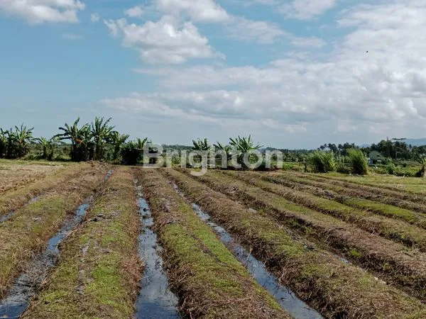 DIJUAL TANAH DEKAT PANTAI PASUT