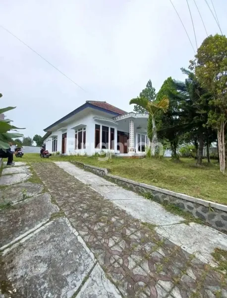 image RUMAH TANAH LUAS  TULUSAYU  TUMPANG (6)