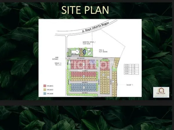 image AYASE TYPE ACADEMIA (5)