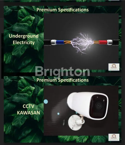 image AYASE TYPE ACADEMIA (8)