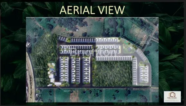 image AYASE TYPE ACACELLO (4)