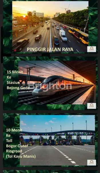 image AYASE TYPE ACACELLO (8)