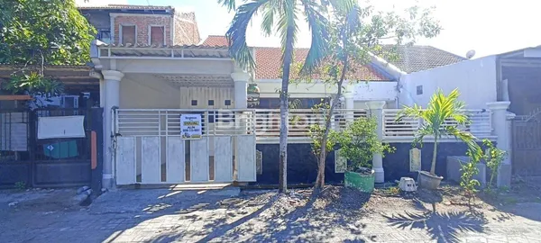 image MEDOKAN AYU 6KT (5)