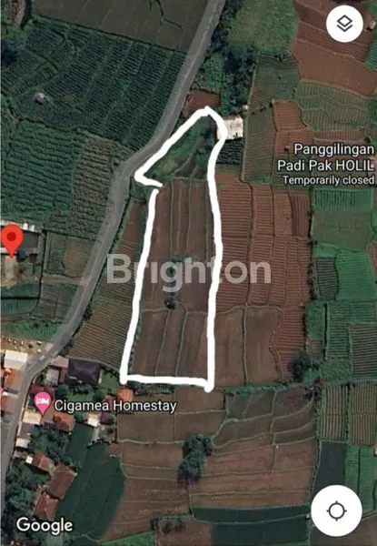 image TANAH CIGAMEA SITU UDIK CIBUNGBULANG KABUPATEN BOGOR (1)