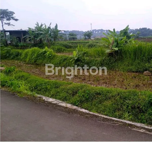 image TANAH CIGAMEA SITU UDIK CIBUNGBULANG KABUPATEN BOGOR (3)