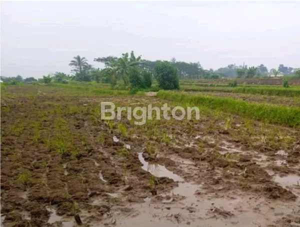 image TANAH CIGAMEA SITU UDIK CIBUNGBULANG KABUPATEN BOGOR (4)