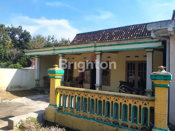 image RUMAH DIJUAL DI KARANGASRI NGAWI JAWA TIMUR (2)