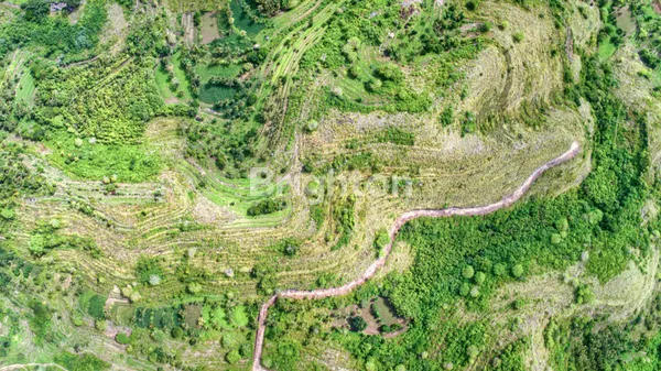 image TANAH KAVLING LUAS DI NUSA PENIDA BALI SANGAT COCOK UNTUK INVESTASI/VILLA / HOTTEL (5)