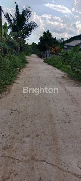 image TANAH KAPLING (2)