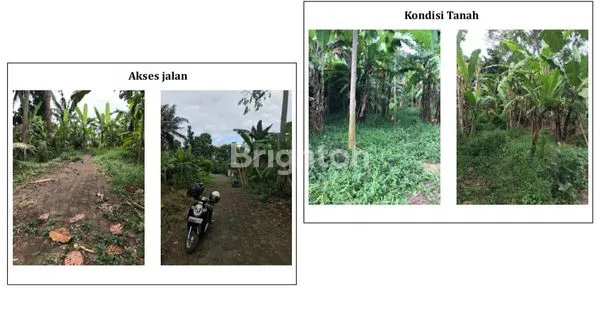 image  KAVLING TANAH DI PERUMAHAN CEMPAKA ASRI TABANAN, BALI (1)