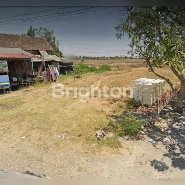 TANAH LUAS DI LAMONGAN JAWA TIMUR