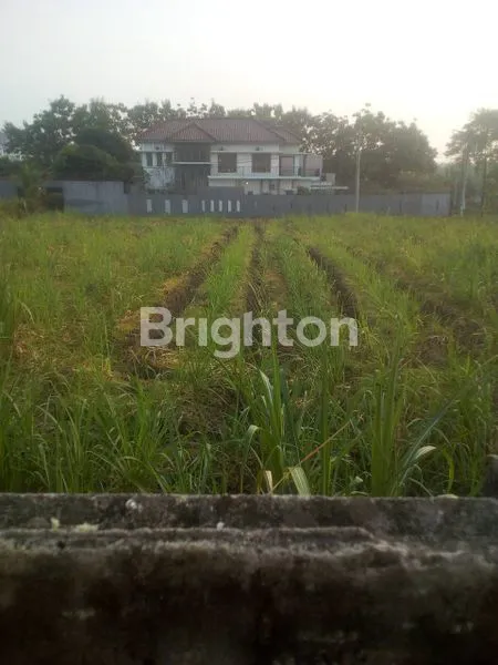 image TANAH JUAL CEPAT BONUS GUDANG BANGUNAN KOKOH NGEMPLAK (7)