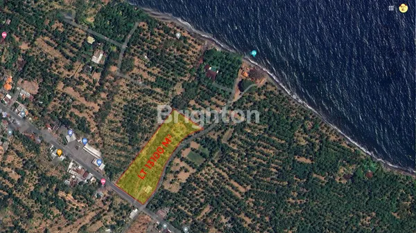 TANAH MURAH PINGGIR JALAN RAYA DI BULELENG