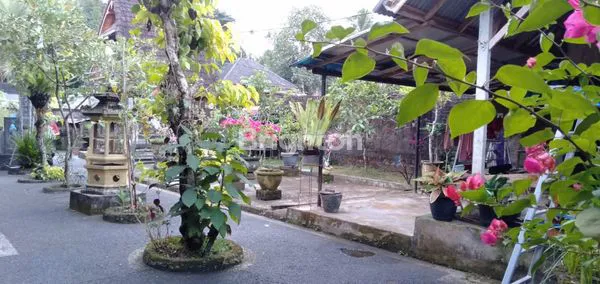 image RUMAH LT 1 AREA TABANAN MARGA (3)