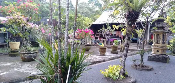 image RUMAH LT 1 AREA TABANAN MARGA (4)