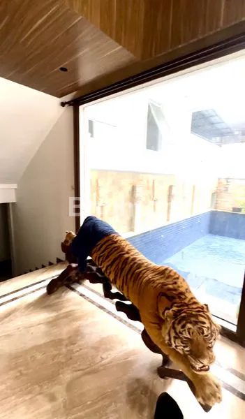 image RUMAH MEWAH EMPAT LANTAI (2)