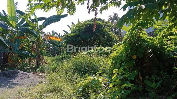 image DIJUAL LAHAN TANAH (1)