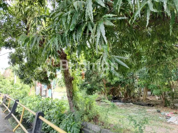 image TANAH DI JUAL JL. RAYA KUTA  (3)