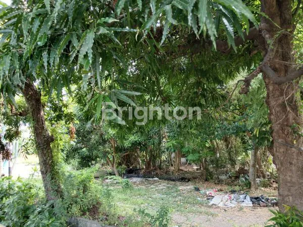 image TANAH DI JUAL JL. RAYA KUTA  (4)