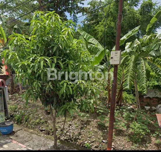 image JUAL TANAH LUAS 640M2 DI JALAN DAMARWULAN SEMARANG (2)