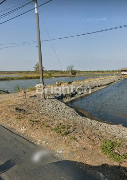 TANAH TAMBAK OSO, SIDOARJO, JAWA TIMUR