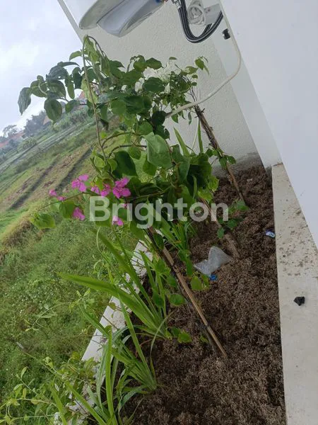 image VILLA TWO FLOOR SESEH CANGGU (6)