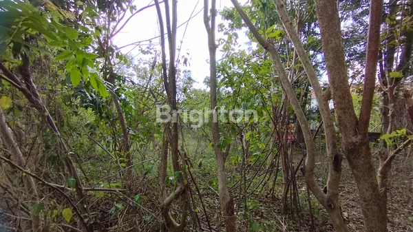 image SEWA MIN 10 TAHUN HADAP UTARA 8 ARE JL JEPUN JIMBARAN (6)