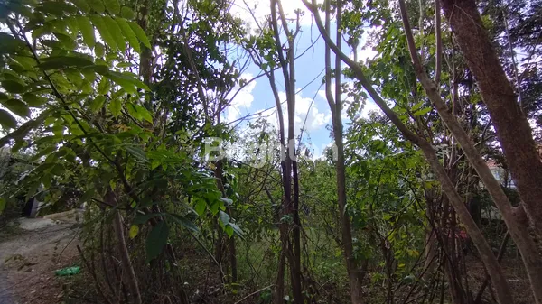 image SEWA MIN 10 TAHUN HADAP UTARA 8 ARE JL JEPUN JIMBARAN (7)