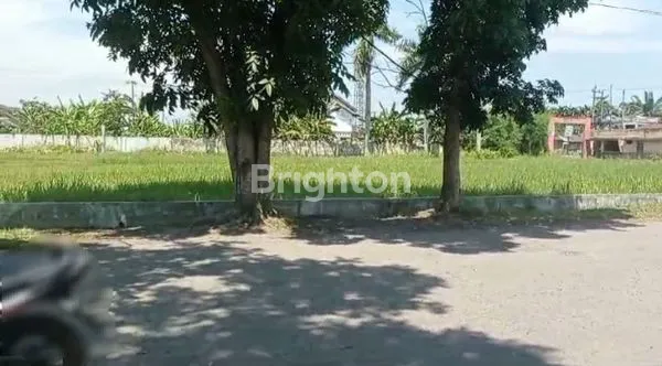 image TANAH SANGAT LUAS COCOK MENDIRIKAN PABRIK (6)