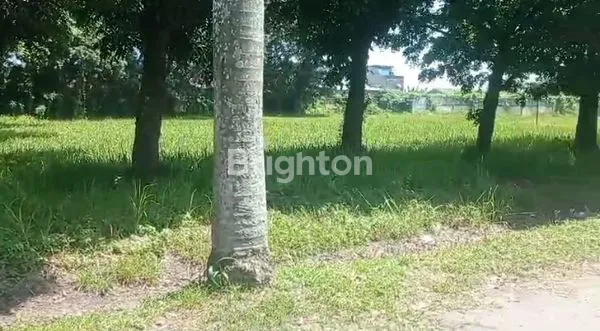 image TANAH SANGAT LUAS COCOK MENDIRIKAN PABRIK (7)