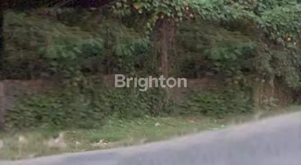 image TANAH MURAH 6000 M CISAUK DEKAT BSD KAWASAN MAKIN BERKEMBANG (1)