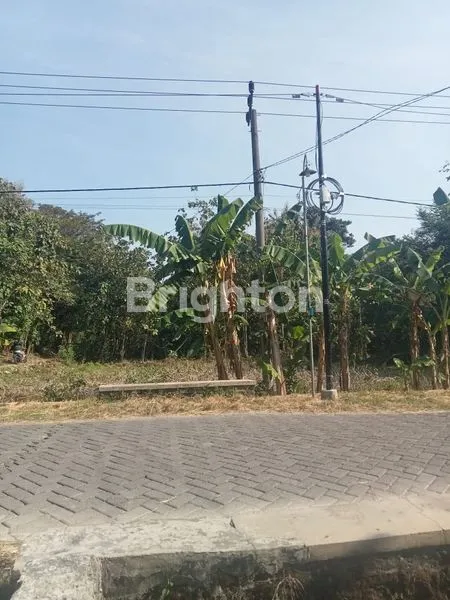 TANAH DIJUAL KANDANGAN NGAWI JAWA TIMUR