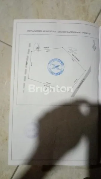 image KEBUN KELAPA SAWIT BERSIH TANAHNYA DATAR COCOK UNTUK INVEST DI SEPAKU IKN (4)