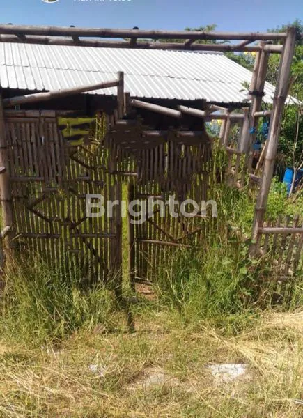 image TANAH STRATEGIS BALONGPANGGANG GRESIK (1)