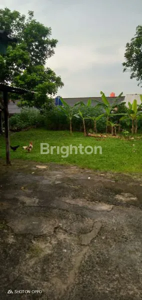 image TANAH DI PANGKALAN JATI (1)